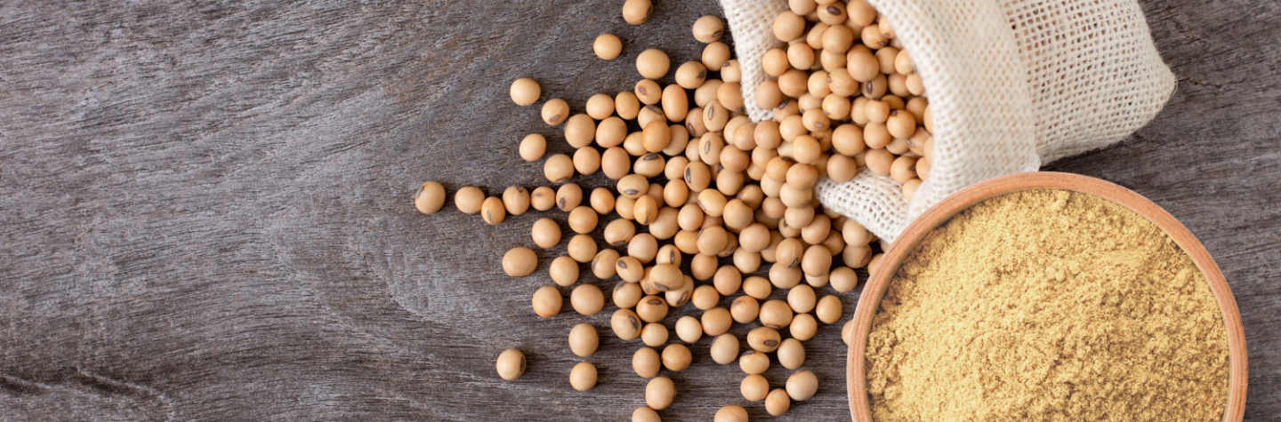 Sojaprotein
Soja protein
Vegansk protein Sojaprotein
Soja protein
Vegansk protein